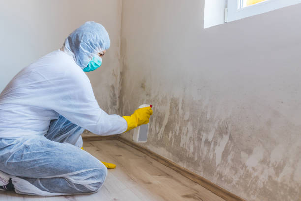 Bathroom Mold Removal assessment in Freeland bathroom